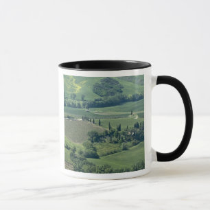 Landschaft bei Montepulciano, Val d'Orcia, Tasse