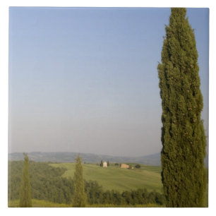 Landschaft bei Pienza. Val d'Orcia, Siena Fliese
