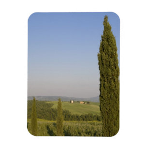 Landschaft bei Pienza. Val d'Orcia, Siena Magnet