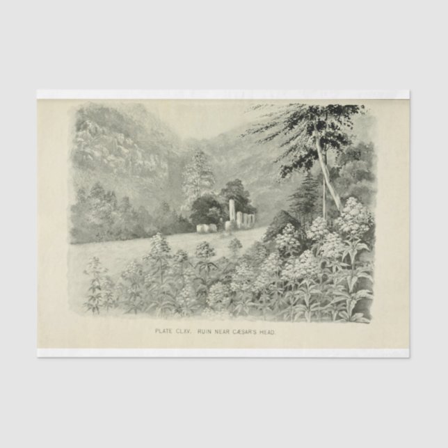 Landschaft Berge Blume Ephemera Entdeckungsreise Seidenpapier (Vorderseite)