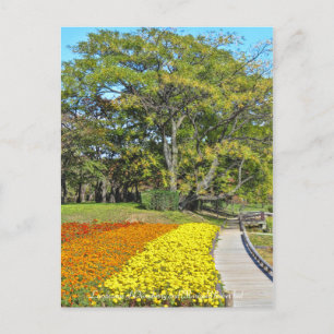 Landschaft Chinaberry und Marigold Blume Bett Postkarte