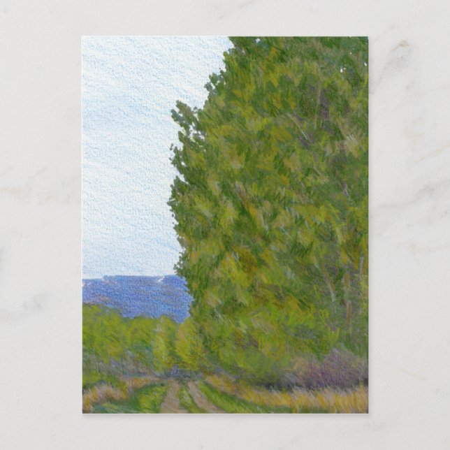 Landschaft Colorado Landschaft Postkarte (Vorderseite)