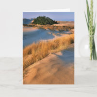Landschaft der Dünen von Oregon