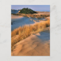 Landschaft der Dünen von Oregon