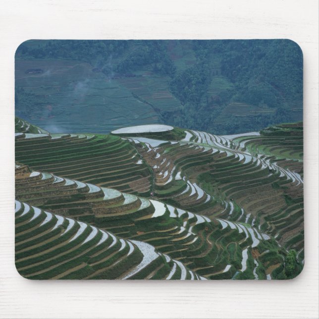 Landschaft der Reisterrassen im Berg, 2 Mousepad (Vorne)