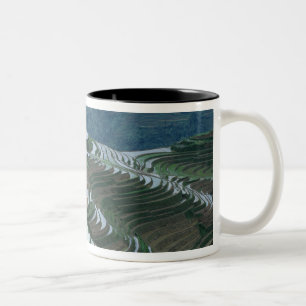 Landschaft der Reisterrassen im Berg, 2 Zweifarbige Tasse