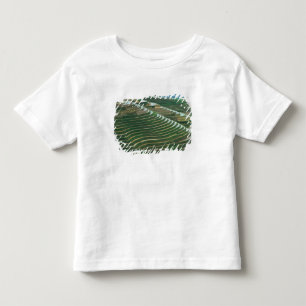 Landschaft der Reisterrassen im Berg, 3 Kleinkind T-shirt