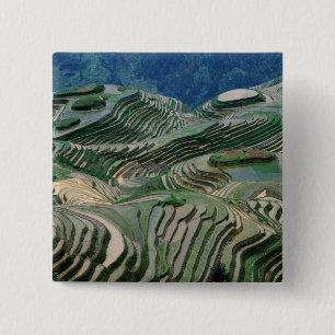 Landschaft der Reisterrassen im Gebirge, Button