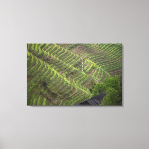 Landschaft der Reisterrassen im Gebirge, Leinwanddruck