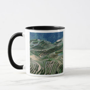 Landschaft der Reisterrassen im Gebirge, Tasse