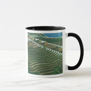 Landschaft der Reisterrassen in den Bergen, 3 Tasse