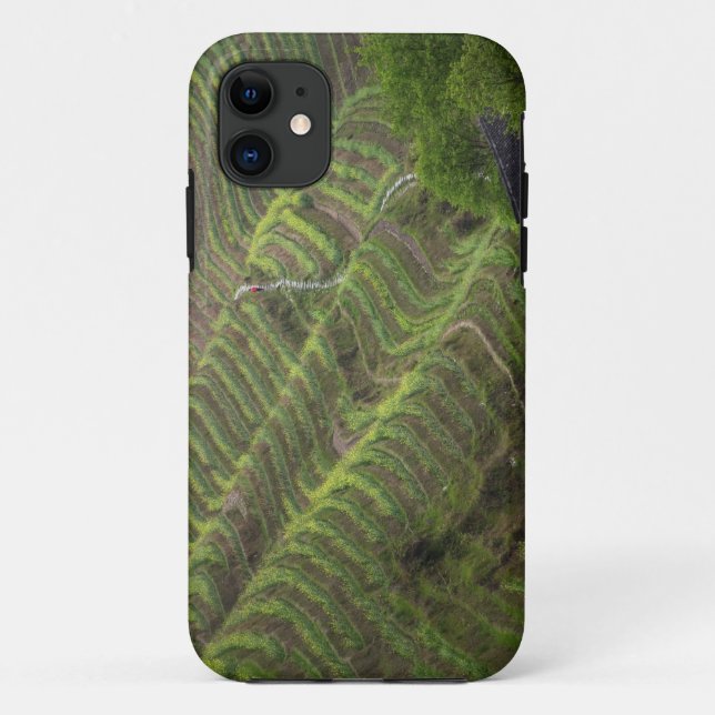 Landschaft der Reisterrassen in den Bergen, Case-Mate iPhone Hülle (Rückseite)