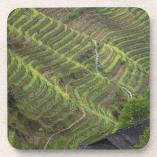 Landschaft der Reisterrassen in den Bergen, Getränkeuntersetzer