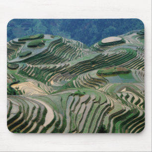 Landschaft der Reisterrassen in den Bergen, Mousepad