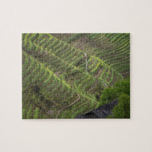 Landschaft der Reisterrassen in den Bergen, Puzzle