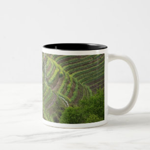 Landschaft der Reisterrassen in den Bergen, Zweifarbige Tasse