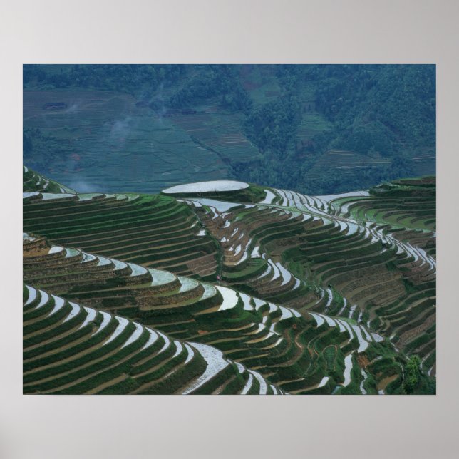 Landschaft der Reiterrassen im Berg, 2 Poster (Vorne)