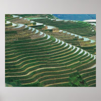 Landschaft der Reiterrassen im Berg, 3