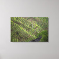 Landschaft der Reiterrassen im Berg,