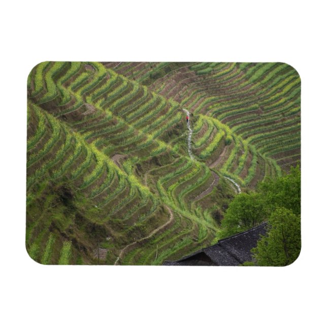 Landschaft der Reiterrassen im Berg, Magnet (Horizontal)