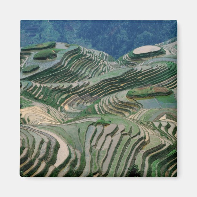Landschaft der Reiterrassen im Berg, Magnet (Vorne)