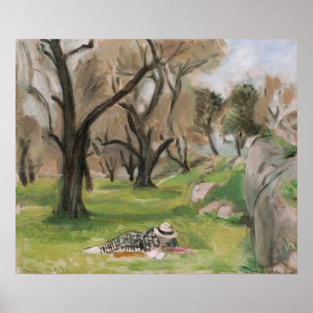 Landschaft der Südmatisse Poster (Vorne)