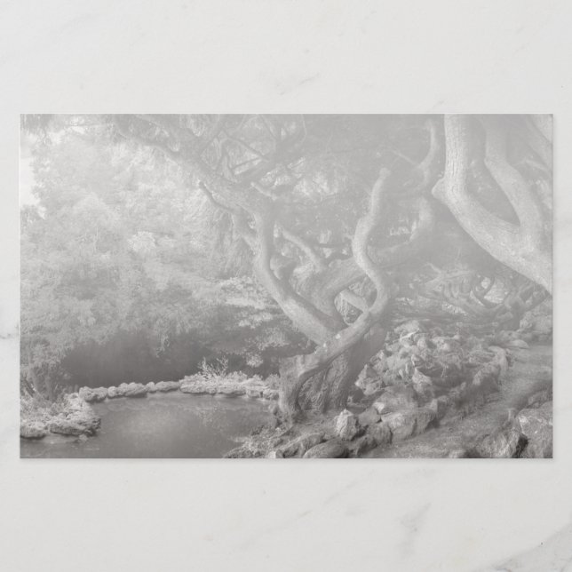 Landschaft - Der verbotene Wald (Vorderseite)