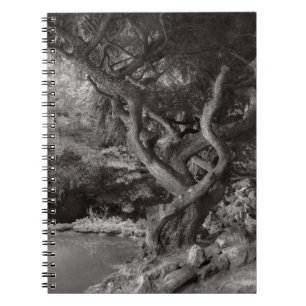 Landschaft - Der verbotene Wald Notizblock