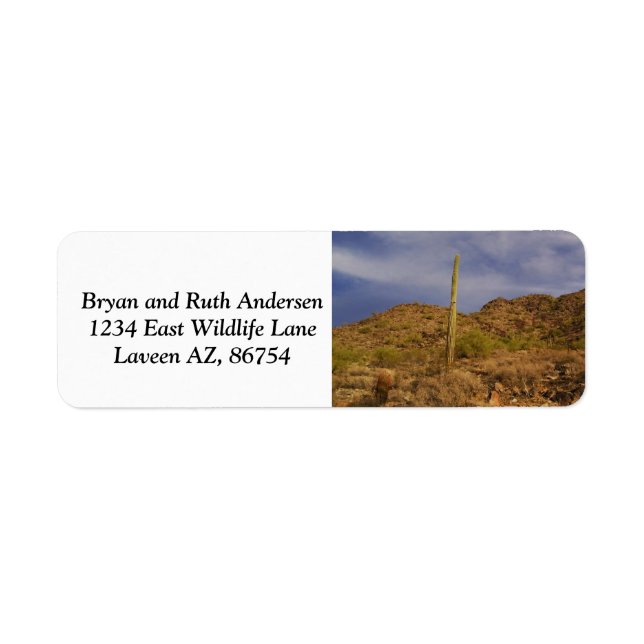 Landschaft des Phoenix Mountain Preserve (Vorne)