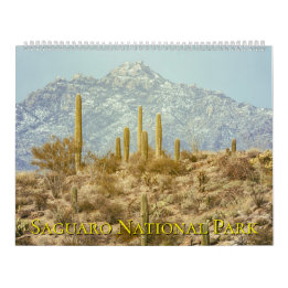 Landschaft des Saguaro-Nationalparks Kalender