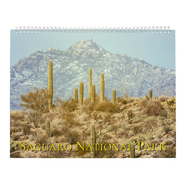 Landschaft des Saguaro-Nationalparks Kalender (Titelbild)