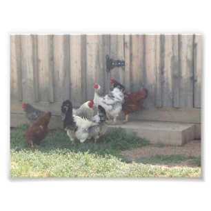 Landschaft Fotodruck