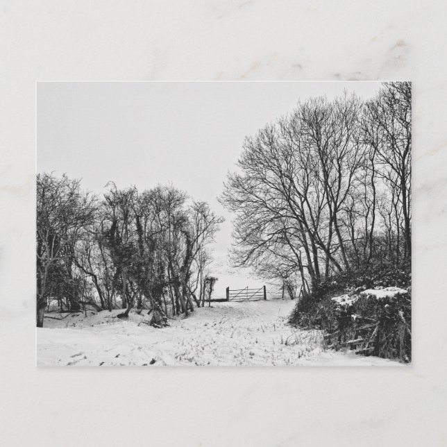 Landschaft im Schnee Postkarte (Vorderseite)