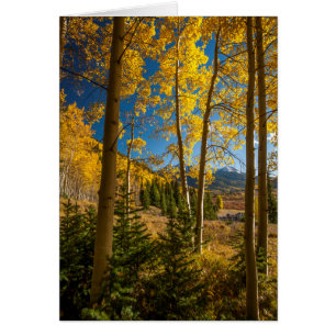 Landschaft in den San Juan Mountains