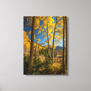 Landschaft in den San Juan Mountains Leinwanddruck