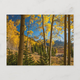 Landschaft in den San Juan Mountains Postkarte