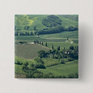 Landschaft in der Nähe von Montepulciano, Val d'O Button