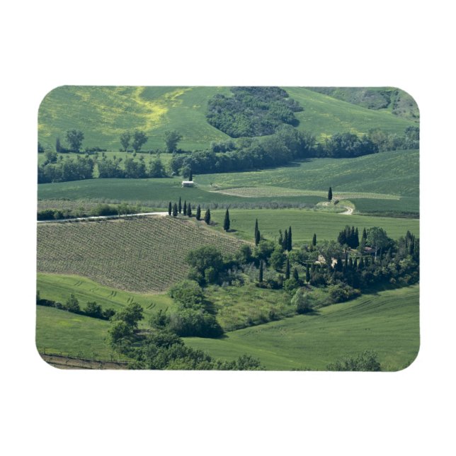 Landschaft in der Nähe von Montepulciano, Val d'Or Magnet (Horizontal)