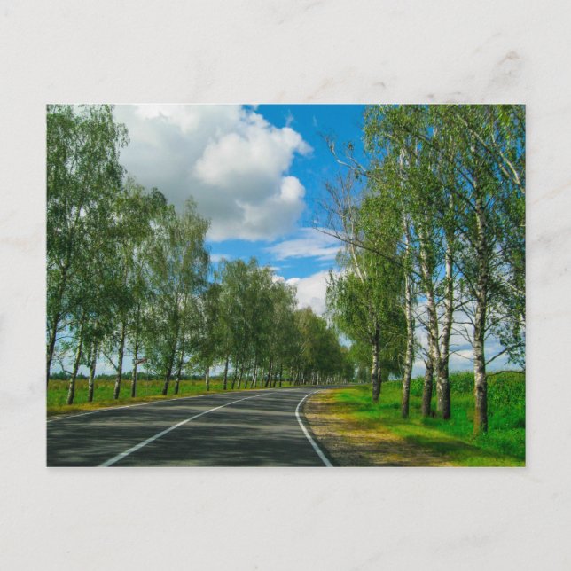 Landschaft Landschaft Landschaft Land Belarus Post Postkarte (Vorderseite)