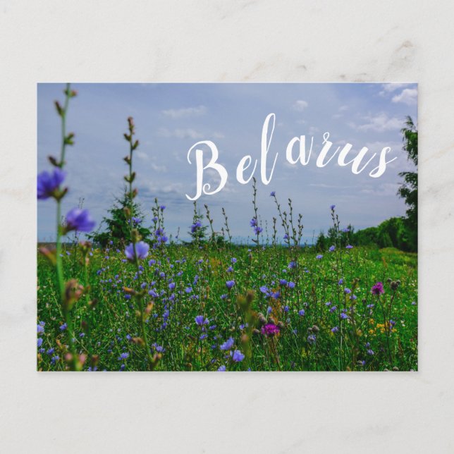 Landschaft Landschaft Landschaft Landschaft Feld B Postkarte (Vorderseite)
