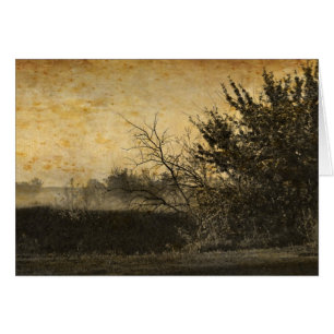 Landschaft Landschaft Rustikale Winterbäume