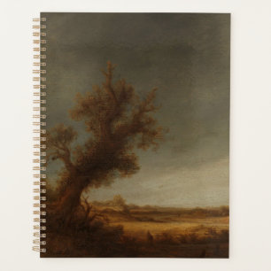 Landschaft mit alter Eiche, Adriaen van Ostade, Ca Planer