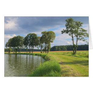 Landschaft mit Bäumen