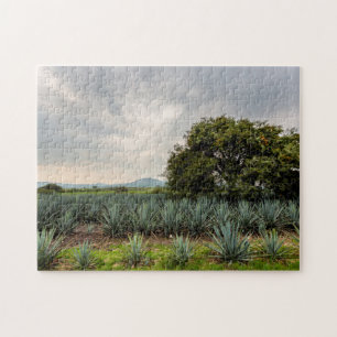 Landschaft mit blauer Agave Puzzle