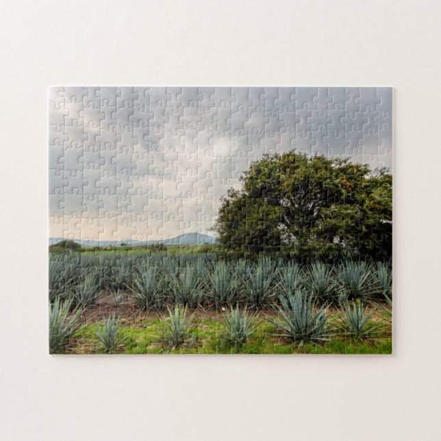 Landschaft mit blauer Agave Puzzle (Horizontal)