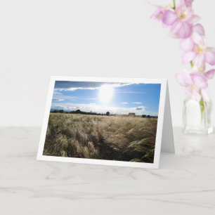 Landschaft mit Gras und Sonnenaufgang auf dem Land Karte