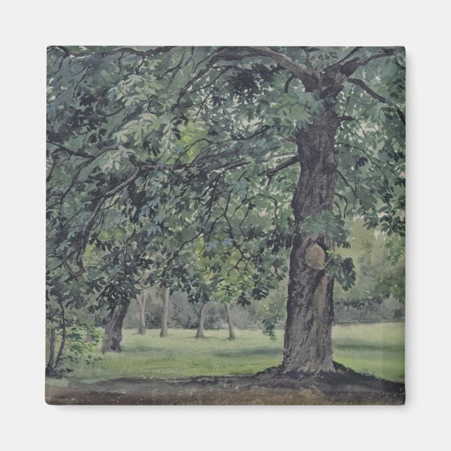 Landschaft mit Kastanienbaum im Grünen Magnet (Vorne)