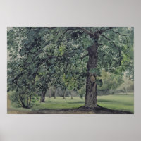 Landschaft mit Kastanienbaum im Grünen