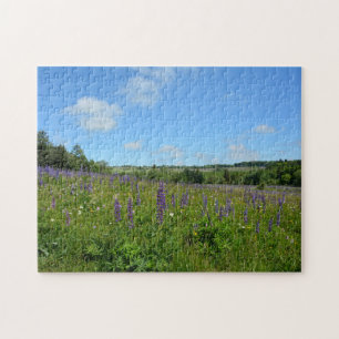 Landschaft mit Lupinen - Puzzle