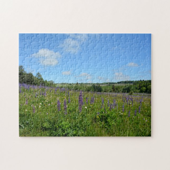 Landschaft mit Lupinen - Puzzle (Horizontal)